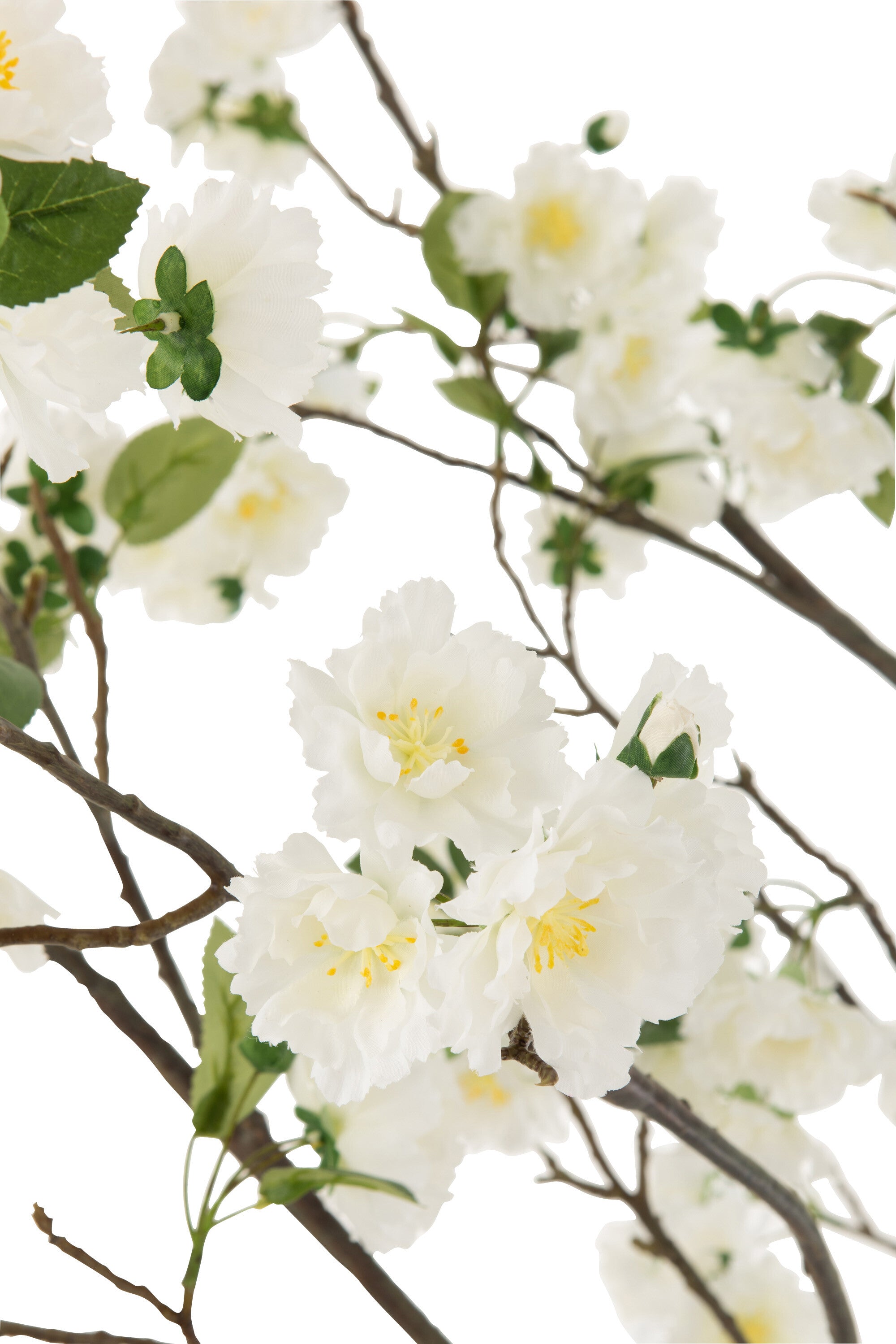 BLOESEMBOOM PL WIT/BRUIN L (100x100x190cm)