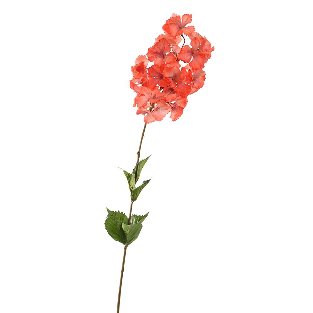 HYDRANGEA 90CM ROOD