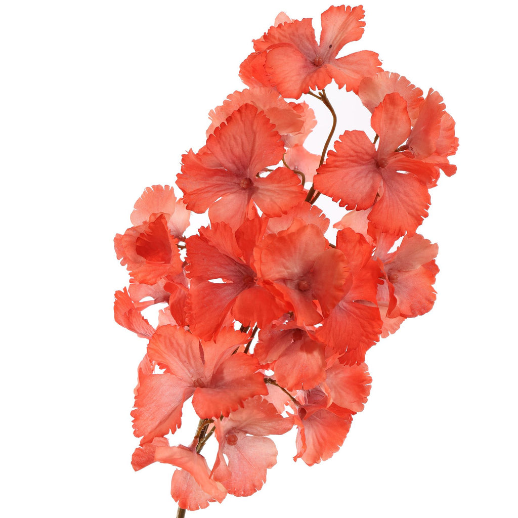 HYDRANGEA 90CM ROOD
