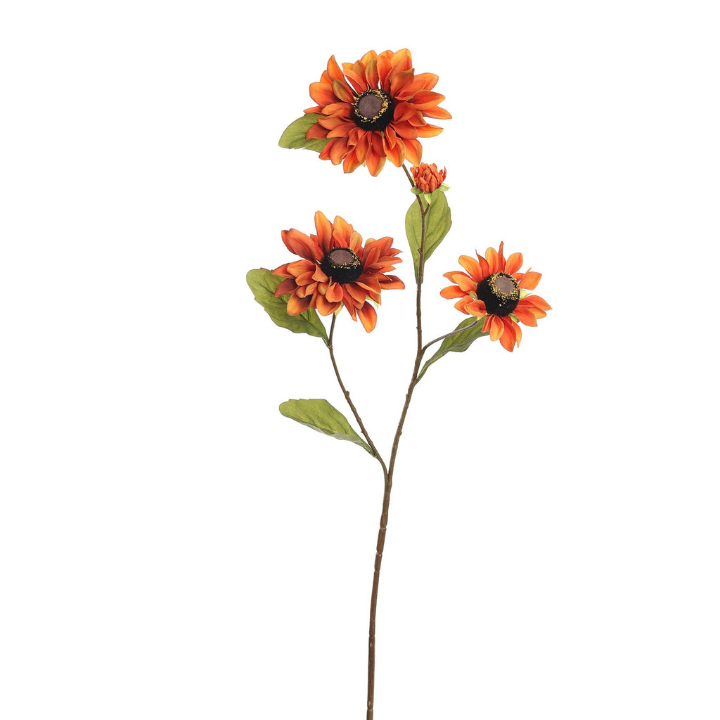 Zinnia spray 80cm oranje