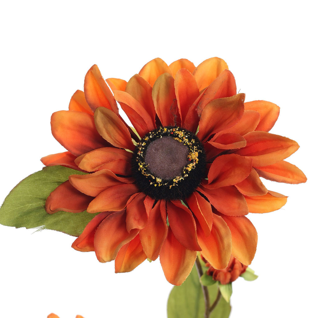 Zinnia spray 80cm oranje