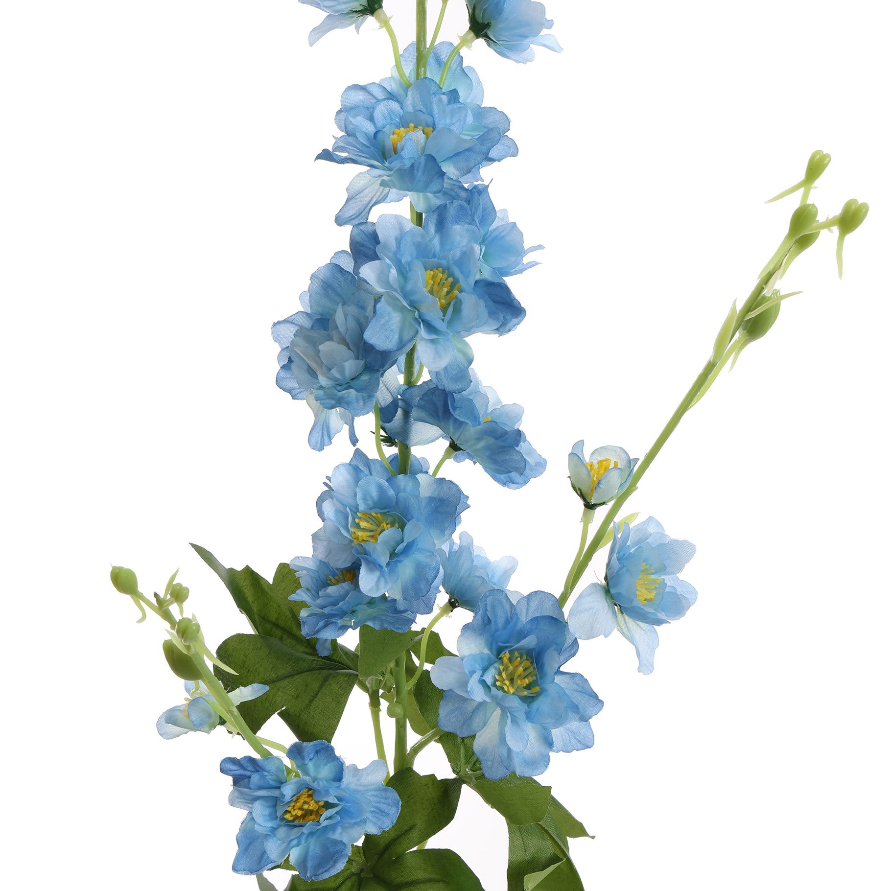 DELPHINIUM 95CM BLUE