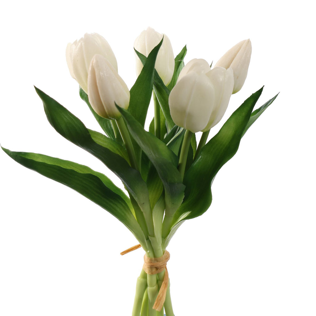 Tulpen Cream bundel van 5 (30cm)