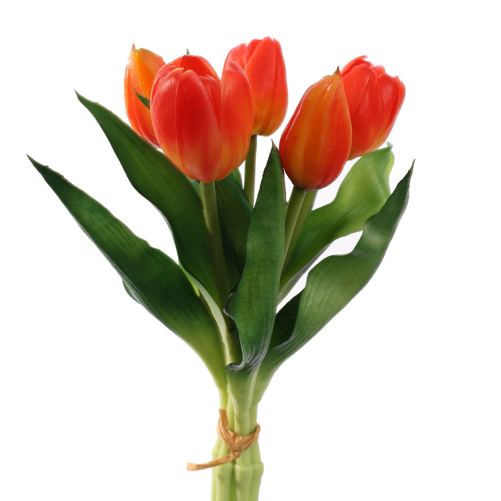 Tulpen oranje bundel van 5 (30cm)