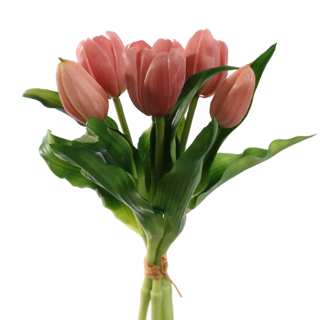 Tulpen Pink bundel van 5 (30cm)
