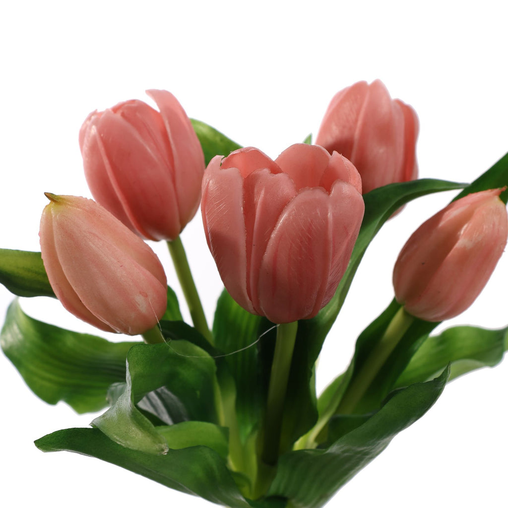 Tulpen Pink bundel van 5 (30cm)