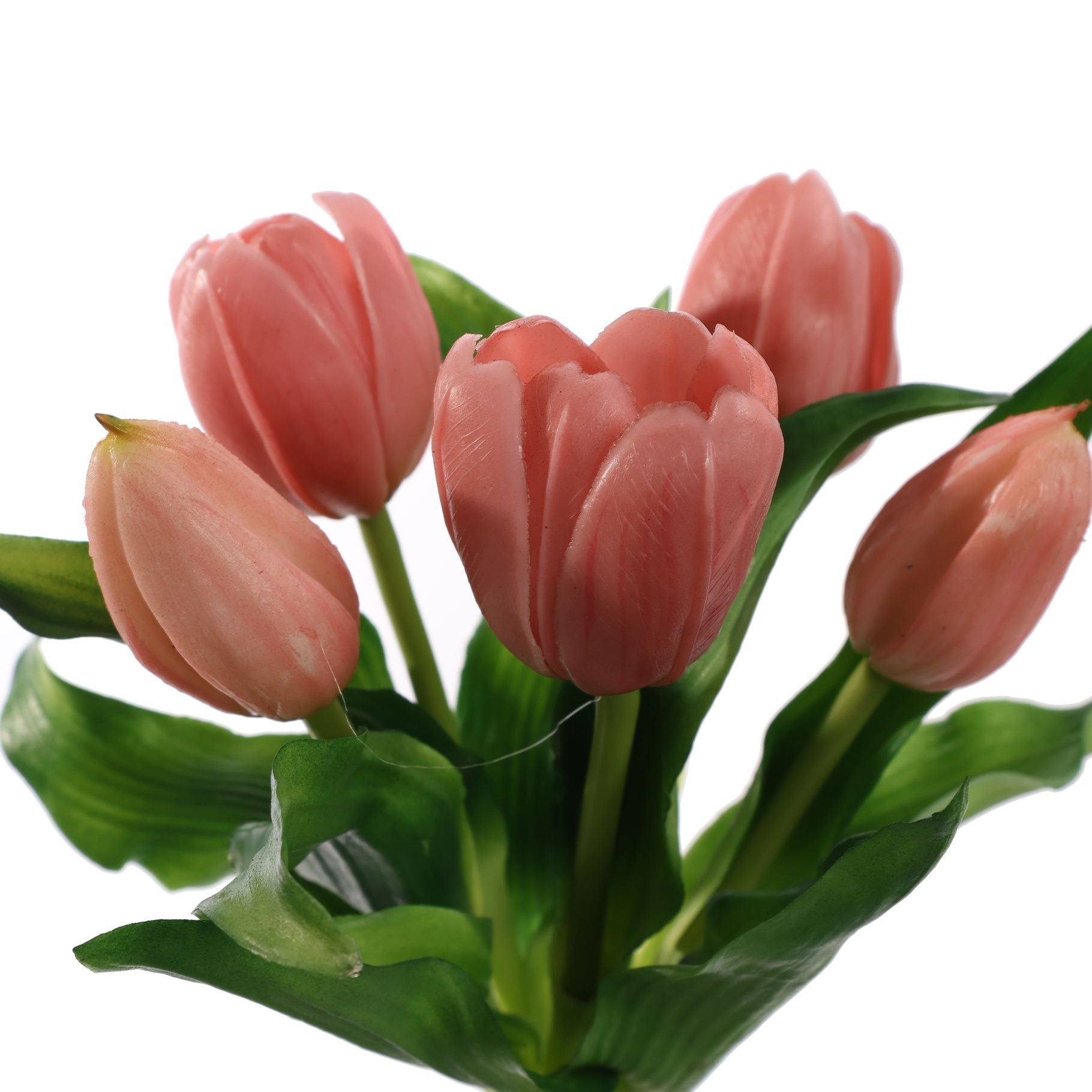 Tulpen Pink bundel van 5 (30cm)