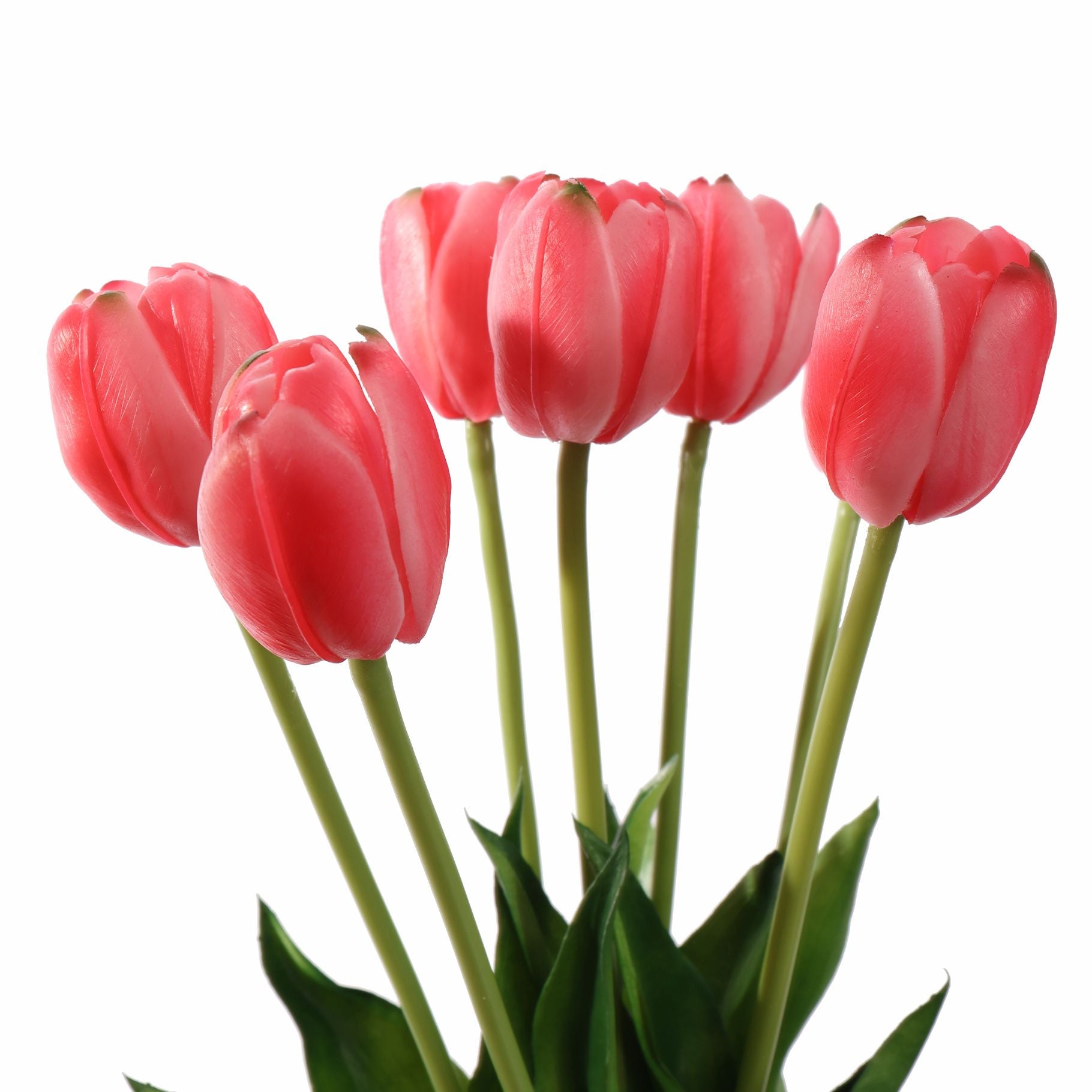 Tulpen Donker roze bundel van 7 (40cm)