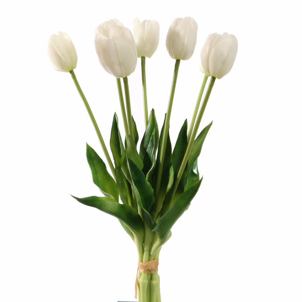 Tulpen Cream bundel van 7 (40cm)