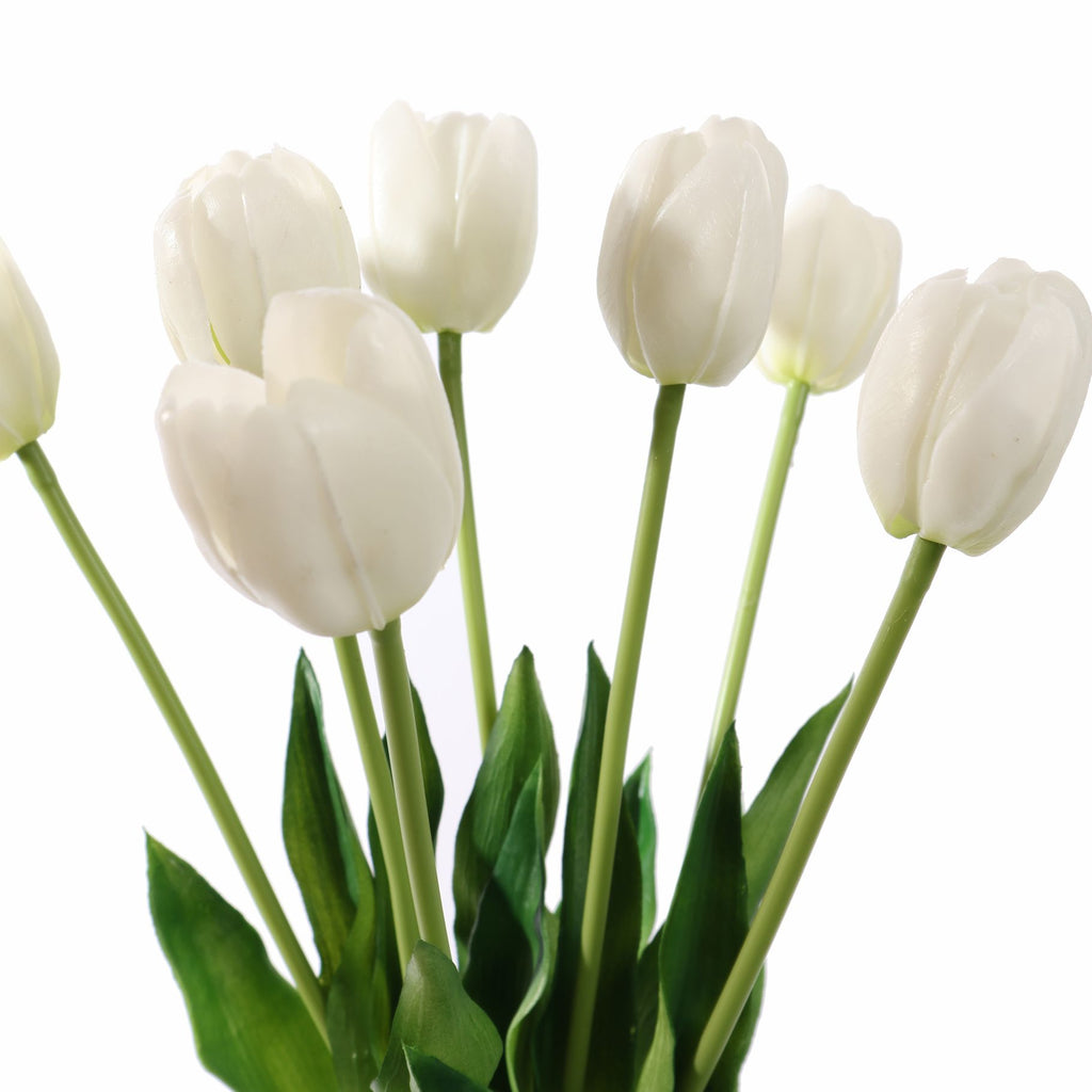 Tulpen Cream bundel van 7 (40cm)