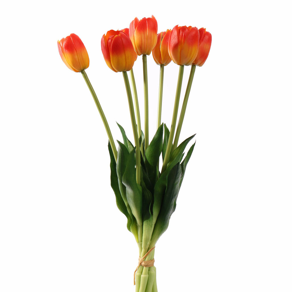Tulpen oranje bundel van 7 (40cm)