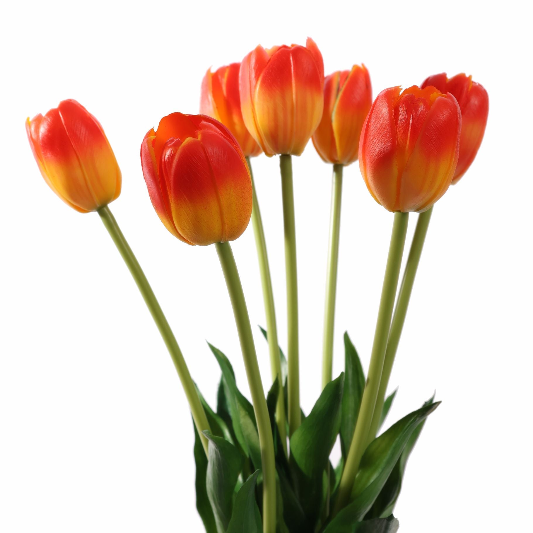 Tulpen oranje bundel van 7 (40cm)
