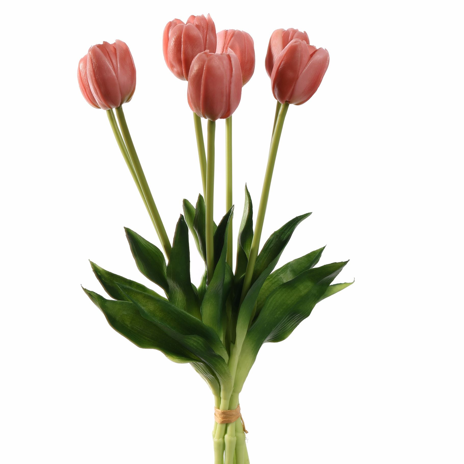 Tulpen Roze bundel van 7 (40cm)