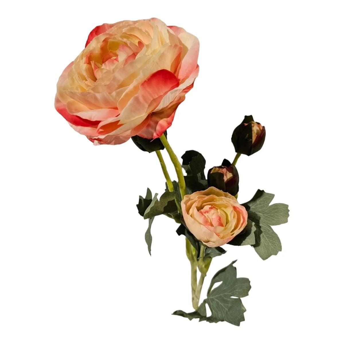 Salmon Melaleuca flower