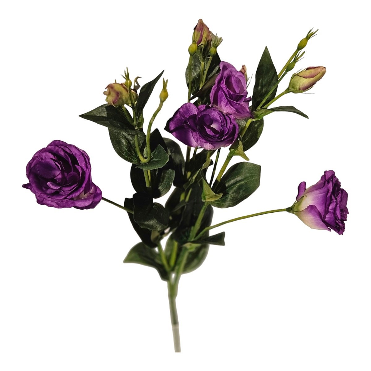 Lisianthus