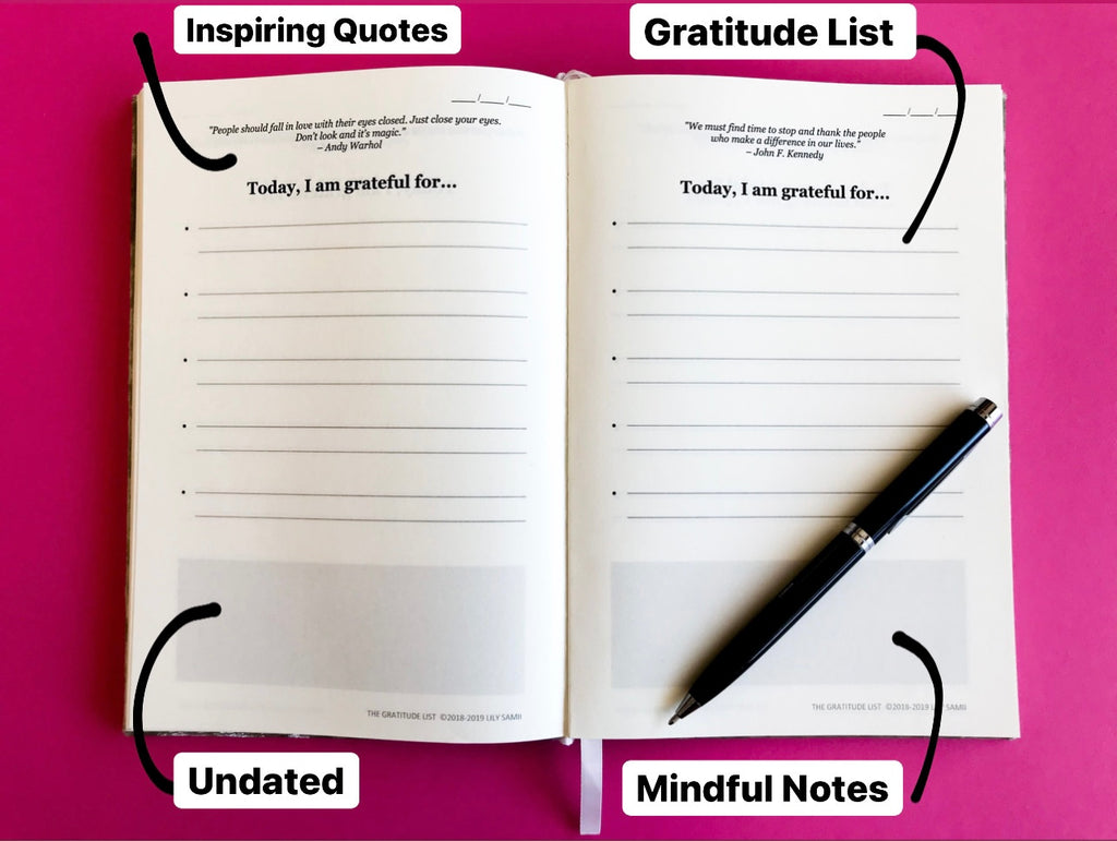 The gratitude list - boek