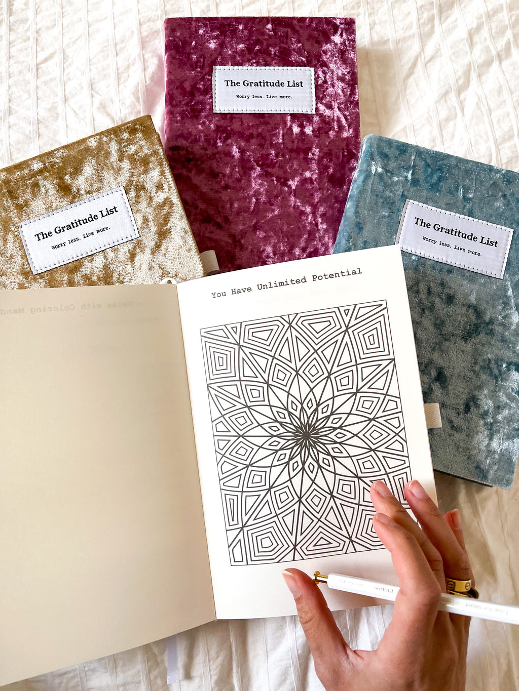 The gratitude list - boek