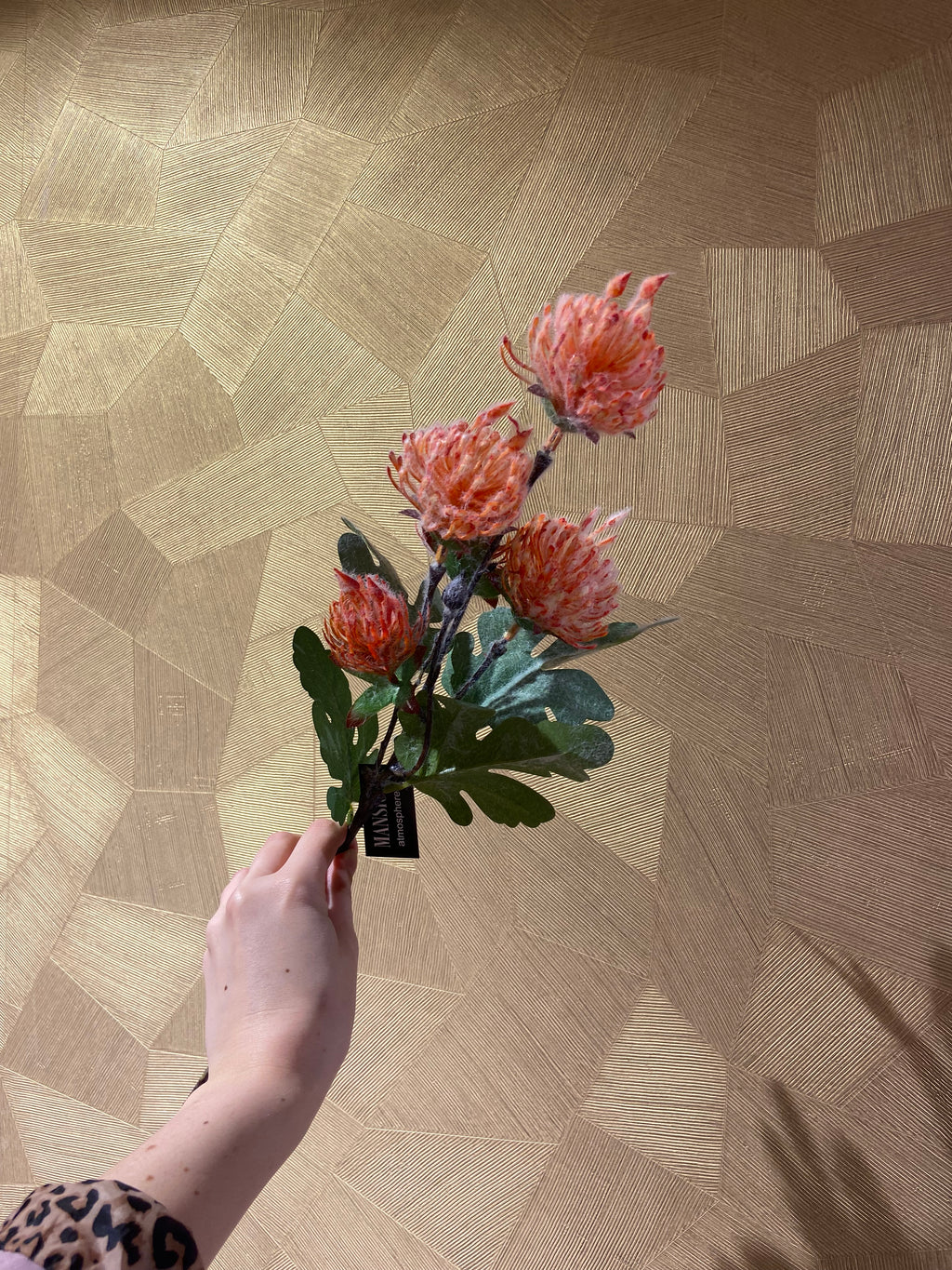 Orange Needle cushion flower