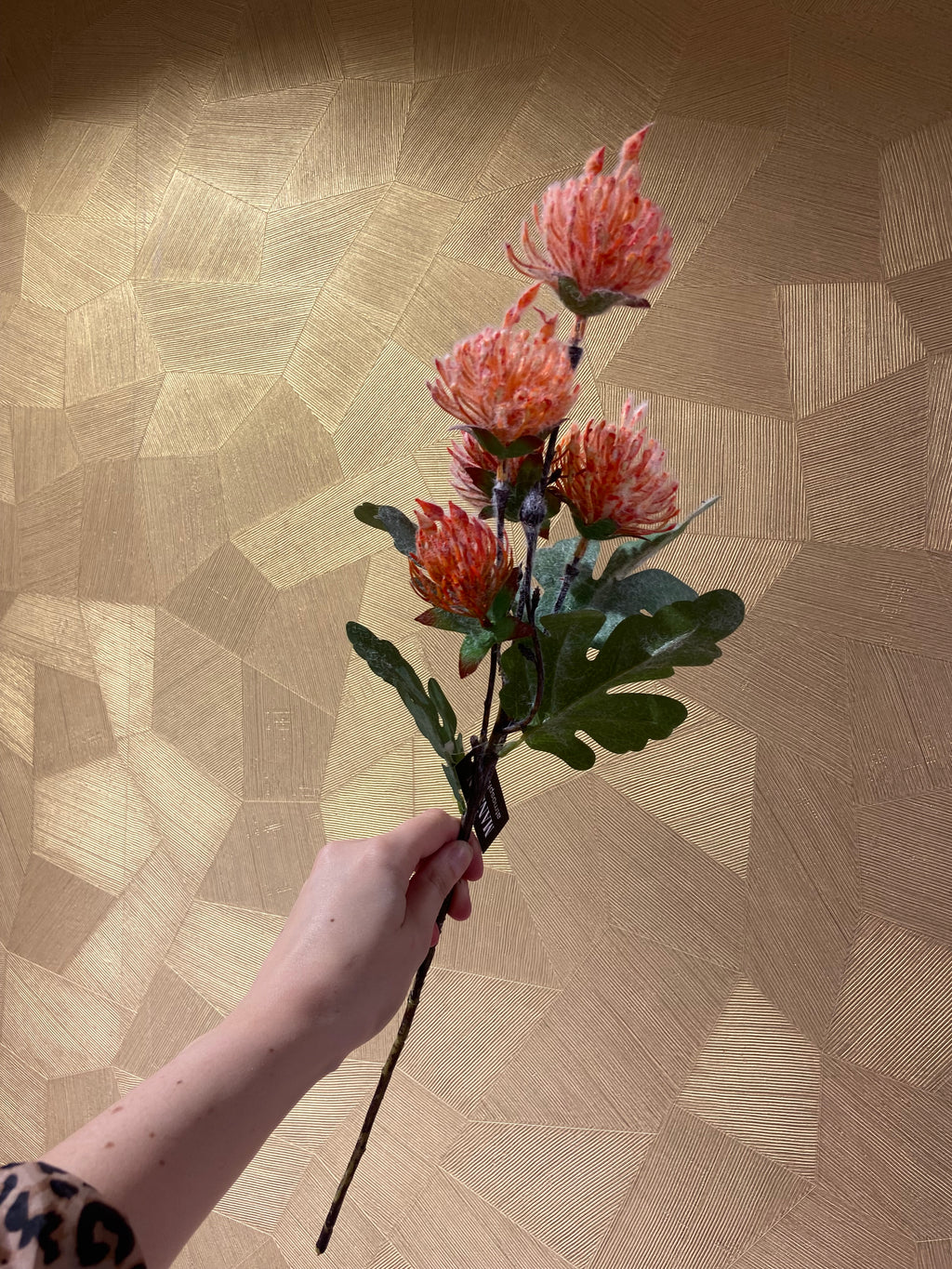 Orange Needle cushion flower