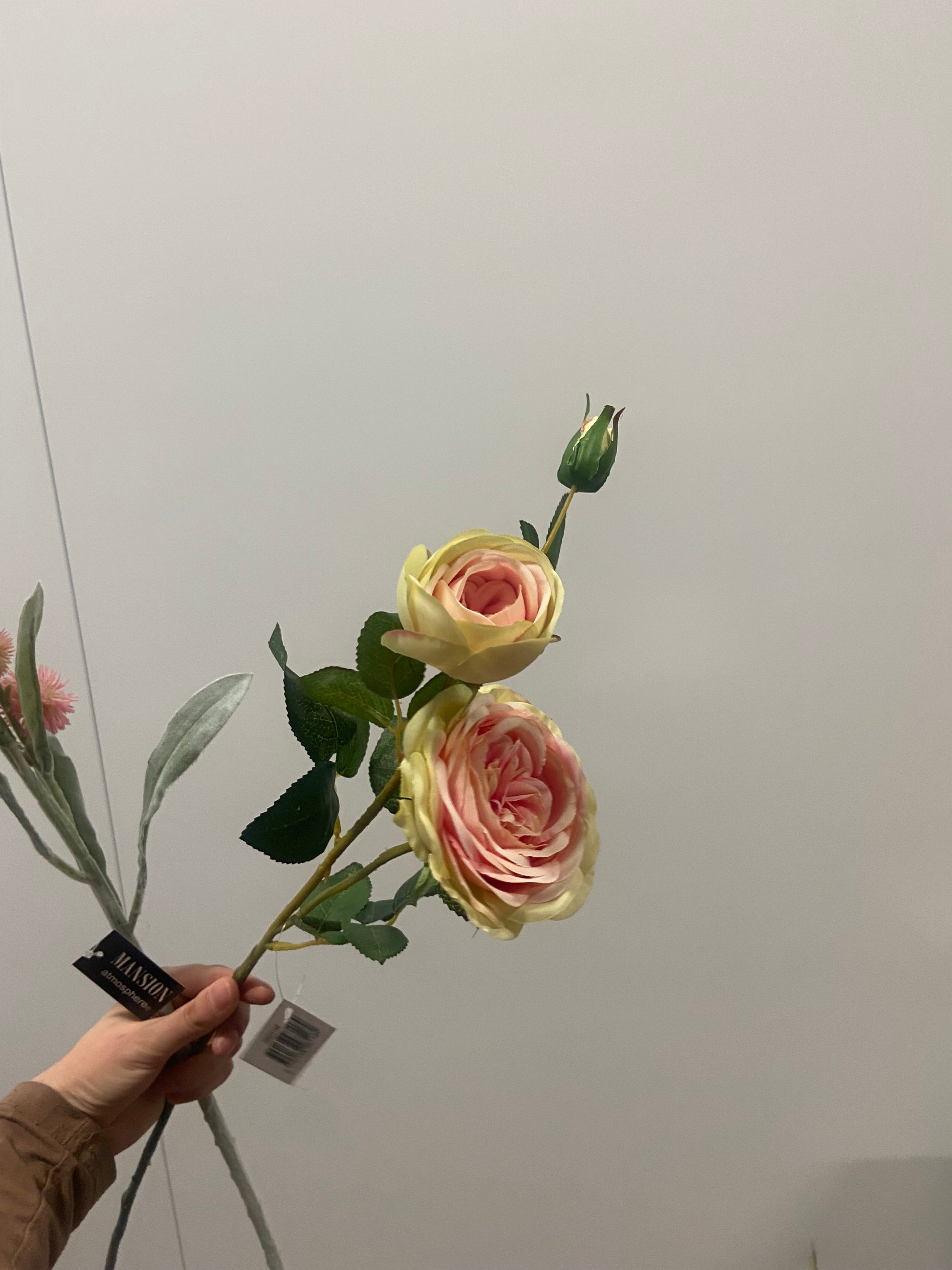 Roos white pink 72cm