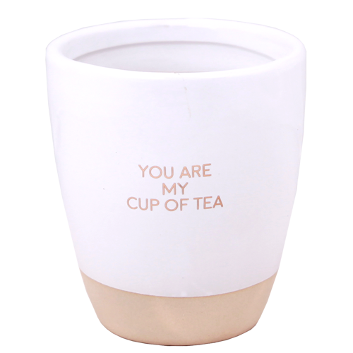 SOJAKAARS IN THEEKOP - YOU ARE MY CUP OF TEA