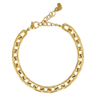 Schakelarmband goud